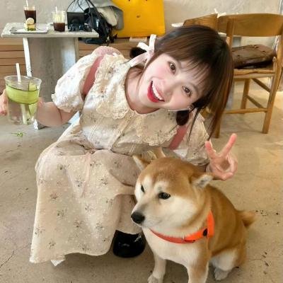 将军家的小儿子
