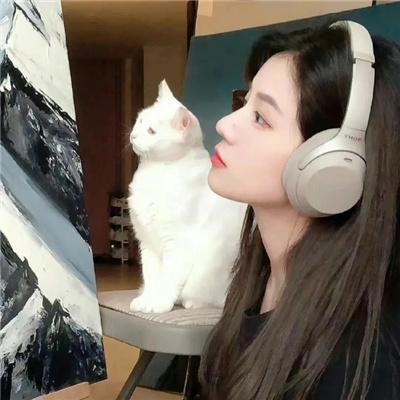 神枪护花手